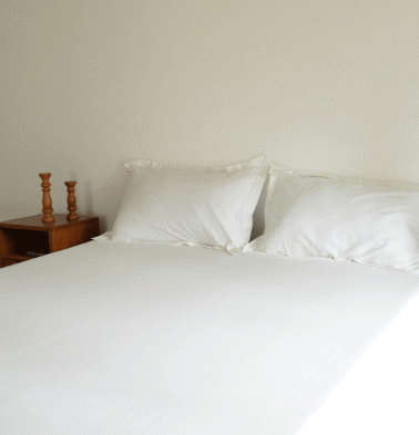 Solid Cotton Bed Sheet White- With 2 pillow covers