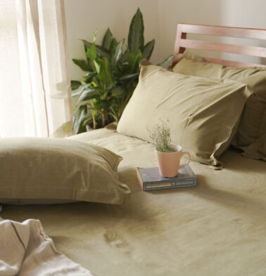 Earthen Hues Cotton Bedsheet – Cedar Green (with 2 Pillow Covers)