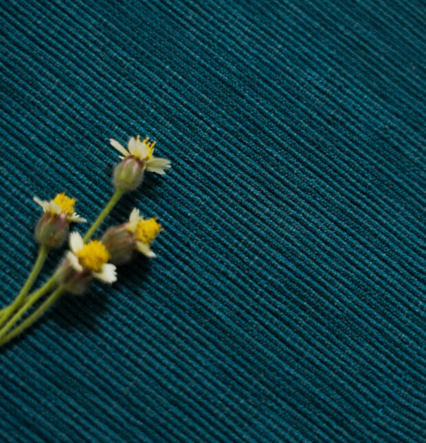 Handwoven Textura Cotton Table Mats Ocean Depth- Set of 6